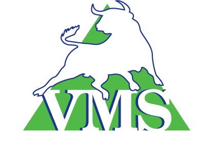 VMS Consulting